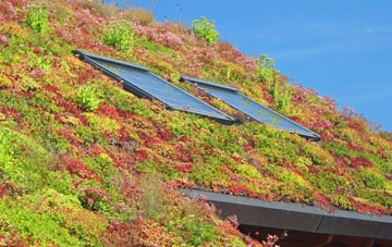 Yarley living roof systems